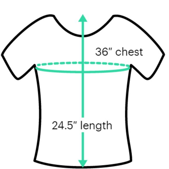 Ann Taylor Loft Short Sleeve Animal Print Top - Size XS - Like new, worn once - Picture 3 of 3